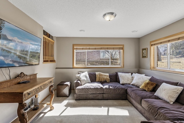 carpeted living room with a textured ceiling