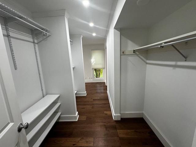 walk in closet featuring wood finished floors