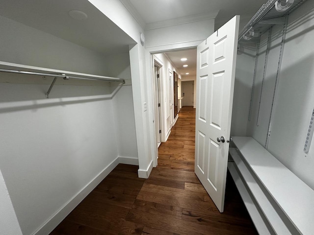 spacious closet featuring dark wood-type flooring