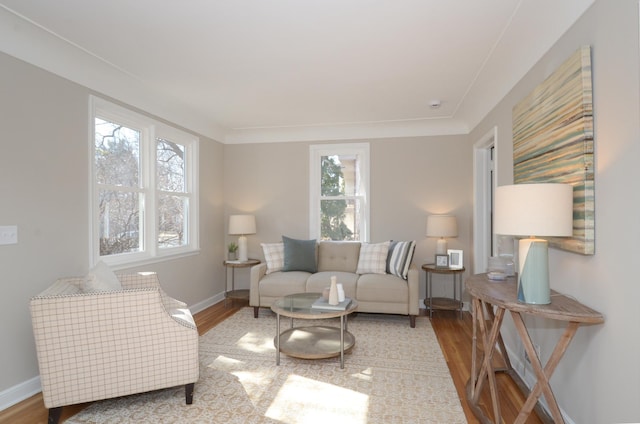 living area with baseboards and wood finished floors