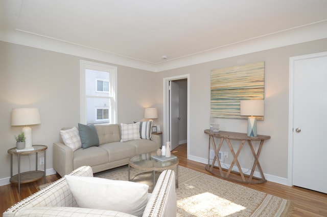 living area featuring wood finished floors and baseboards