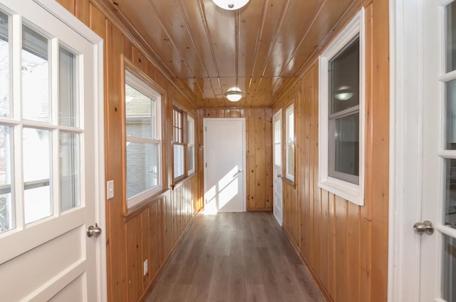 hallway featuring wooden walls, wood ceiling, and a healthy amount of sunlight