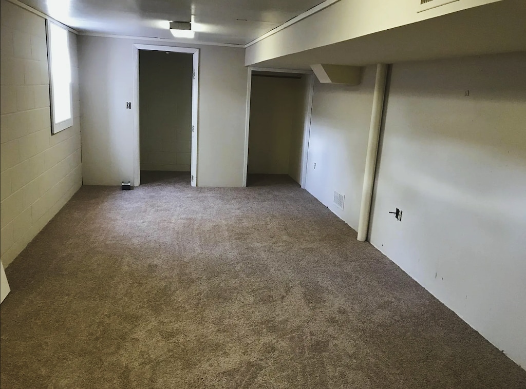 below grade area with visible vents, crown molding, concrete block wall, and carpet floors