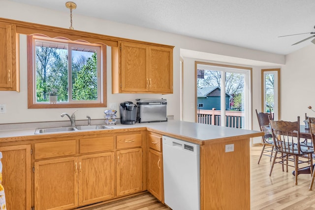 kitchen with white dishwasher, a sink, a peninsula, light wood-style flooring, and ceiling fan