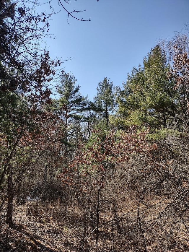 43 Red Pine Trl Unit Lots41, 42, Brockway Twp WI, 54615 land for sale