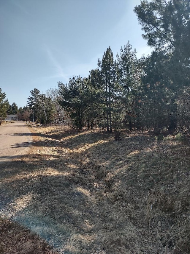 Listing photo 3 for 43 Red Pine Trl Unit Lots41, 42, Brockway Twp WI 54615