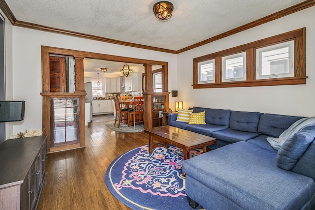 living room with a textured ceiling, crown molding, and dark wood-style flooring