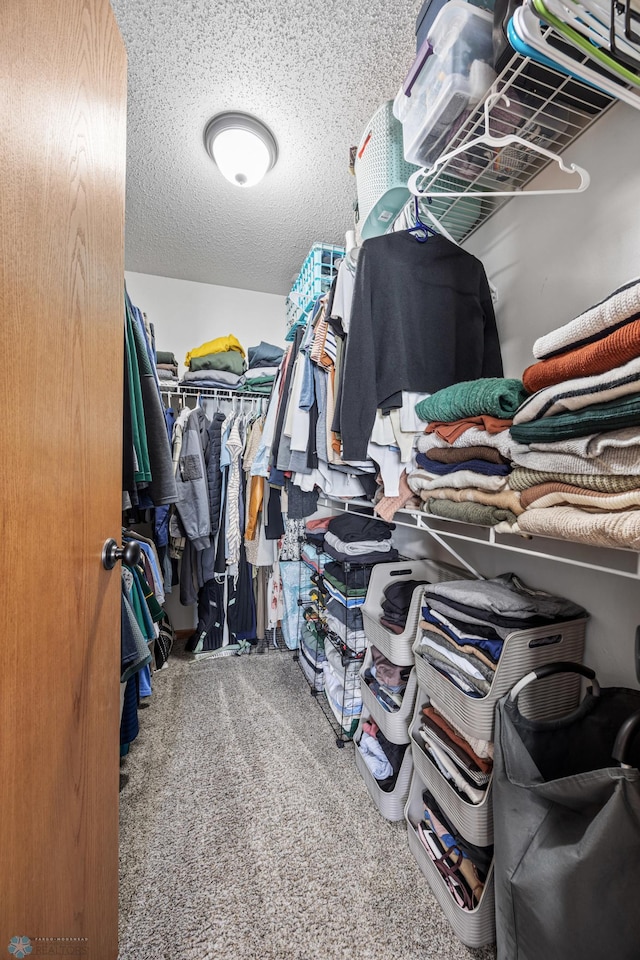 spacious closet featuring carpet flooring