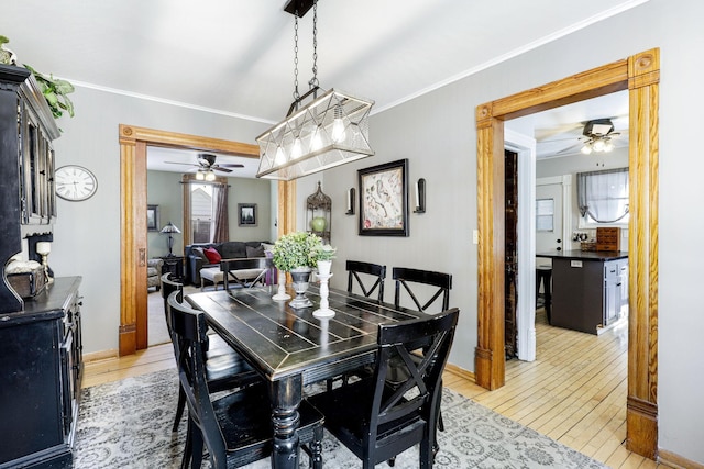 dining space featuring ceiling fan, light wood-type flooring, and ornamental molding