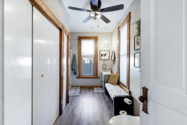 interior space featuring ceiling fan and wood finished floors