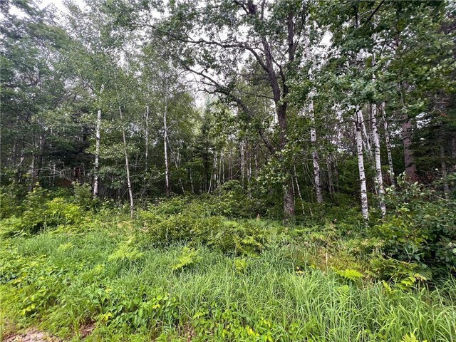 58.11AC 164th St NW, Pike Bay Twp, MN 56633