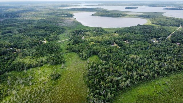 58.11AC 164th St NW, Pike Bay Twp, MN 56633