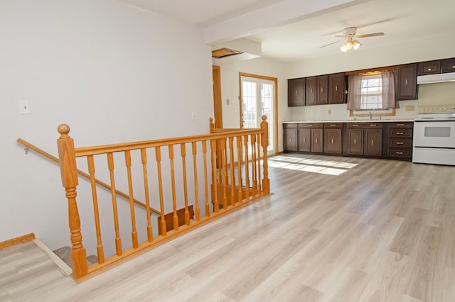 kitchen with dark brown cabinetry, plenty of natural light, light wood-style floors, and white electric range