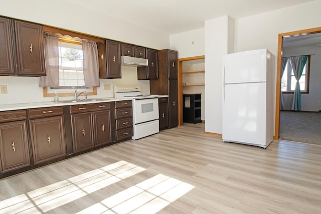 kitchen featuring white appliances, a sink, light countertops, dark brown cabinetry, and under cabinet range hood