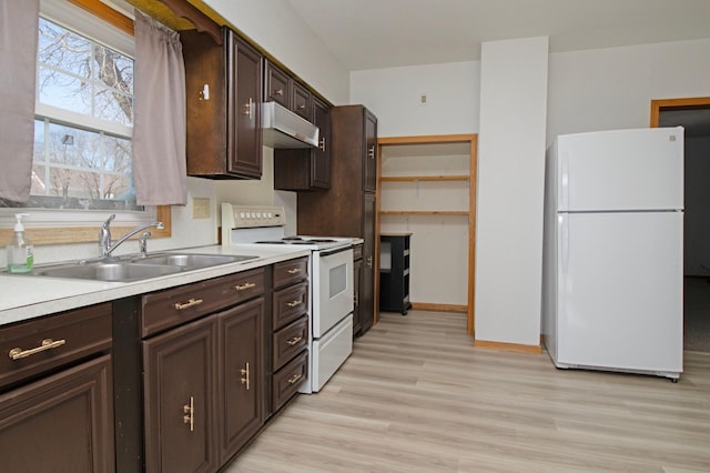 kitchen with light wood-style flooring, a sink, under cabinet range hood, white appliances, and dark brown cabinetry