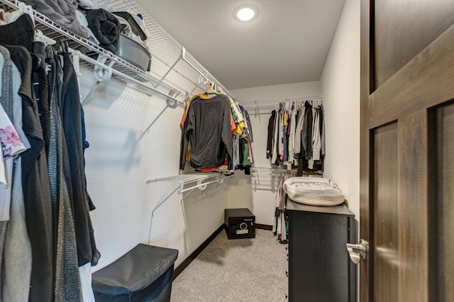 spacious closet featuring carpet