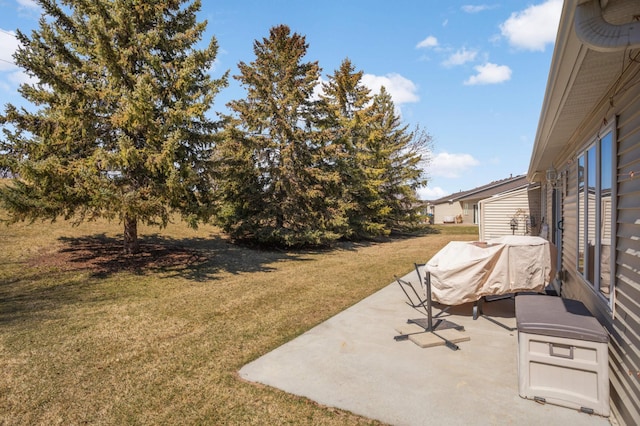 view of yard featuring a patio