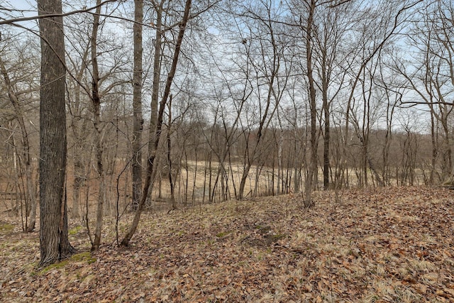 view of nature