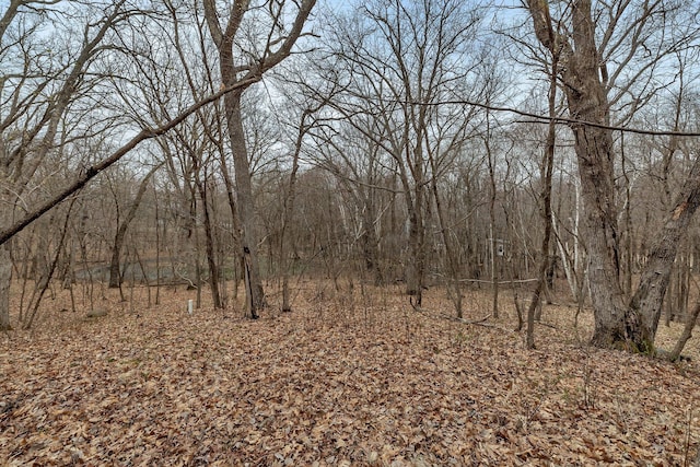 view of landscape featuring a view of trees