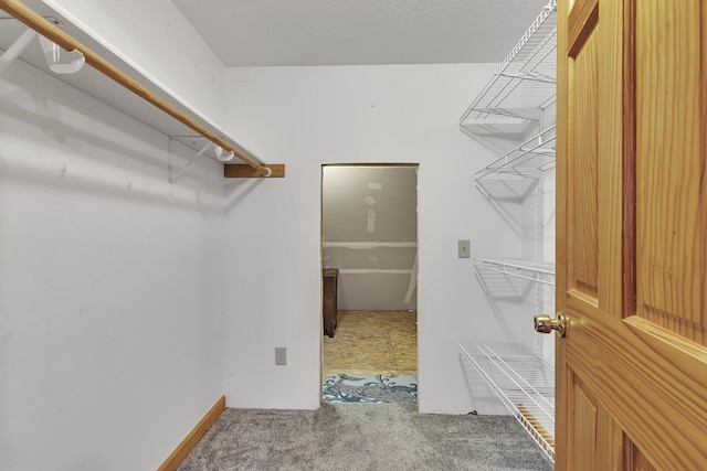 spacious closet featuring carpet floors