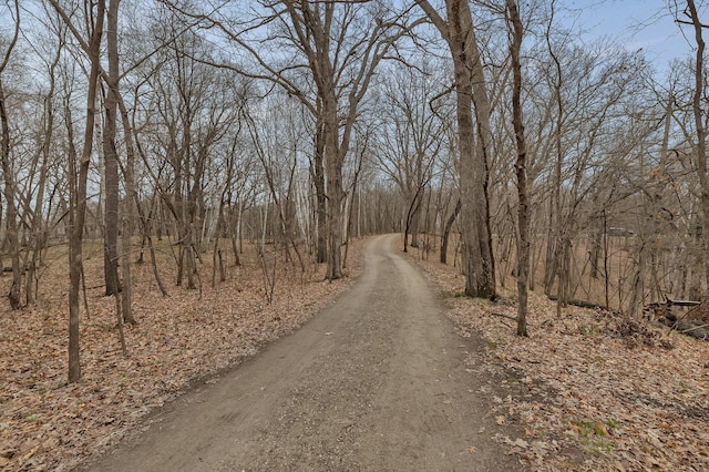 view of road with a forest view