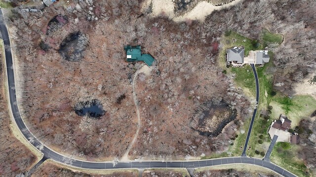 drone / aerial view