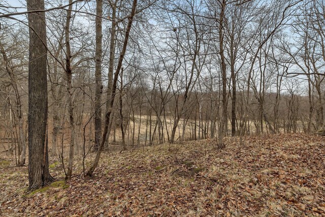 1356 119th St NW, Silver Creek Twp, MN 55362 - view of local wilderness featuring a forest view