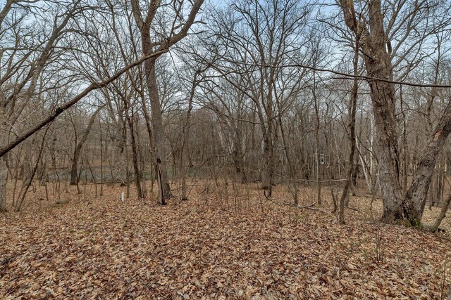 1356 119th St NW, Silver Creek Twp, MN 55362 - view of local wilderness with a wooded view