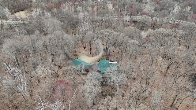 1356 119th St NW, Silver Creek Twp, MN 55362 - bird's eye view