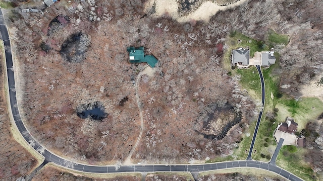 1356 119th St NW, Silver Creek Twp, MN 55362 - drone / aerial view