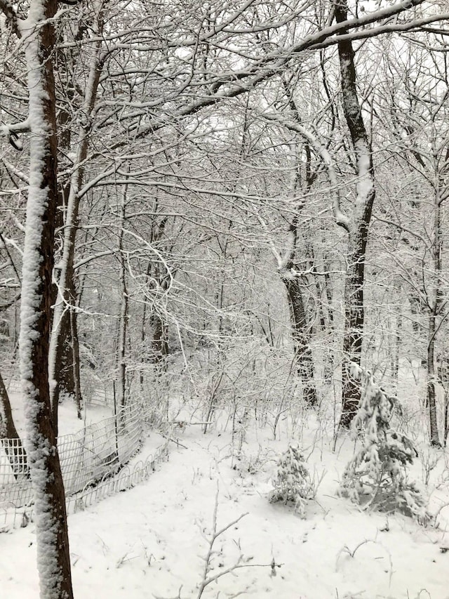1356 119th St NW, Silver Creek Twp, MN 55362 - view of snowy landscape