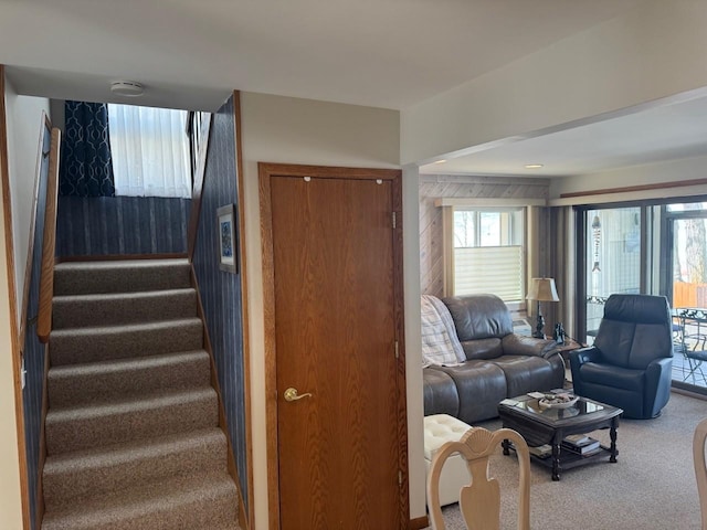 staircase featuring carpet floors