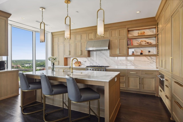 kitchen featuring range hood, light stone counters, dark wood-style floors, a sink, and tasteful backsplash