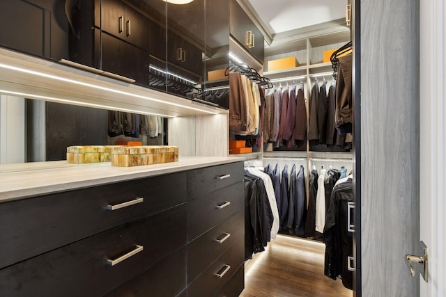 spacious closet with wood finished floors