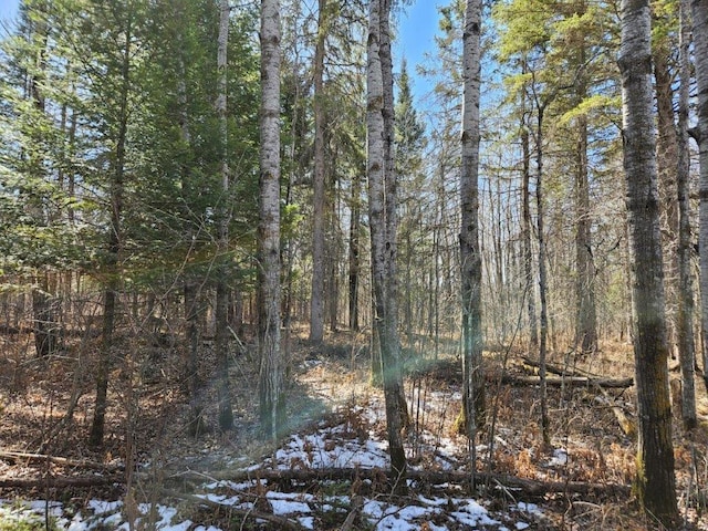 Listing photo 3 for TBD 360th St, Shevlin MN 56676