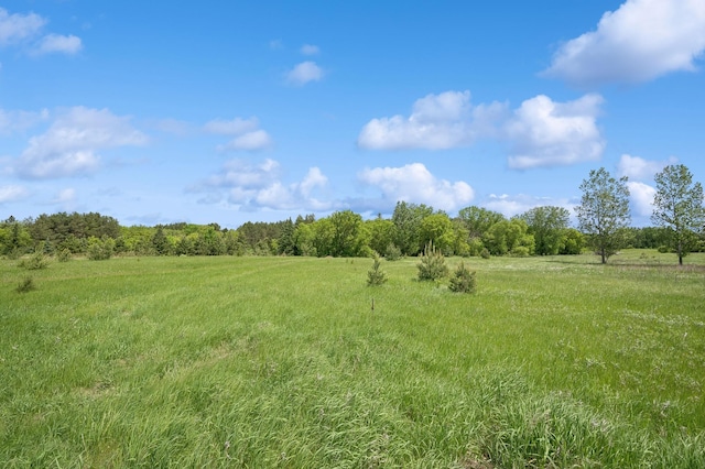 5191 Christen Ave NE, Buffalo, MN 55313 - view of landscape featuring a rural view