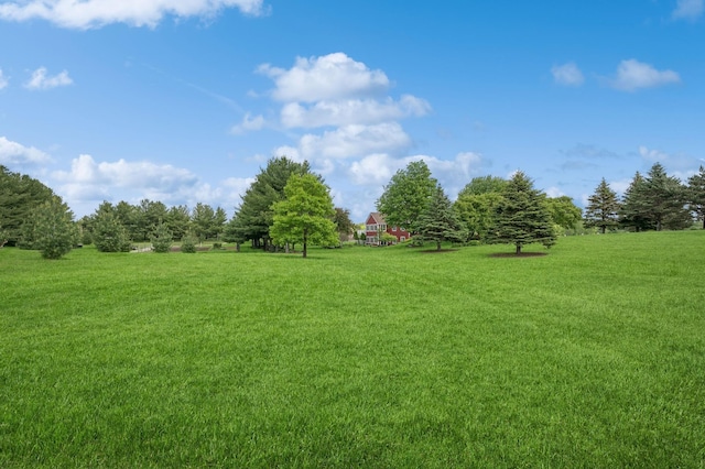5191 Christen Ave NE, Buffalo, MN 55313 - view of yard