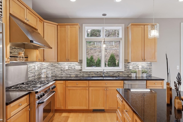 kitchen with a sink, light wood-style floors, under cabinet range hood, appliances with stainless steel finishes, and tasteful backsplash