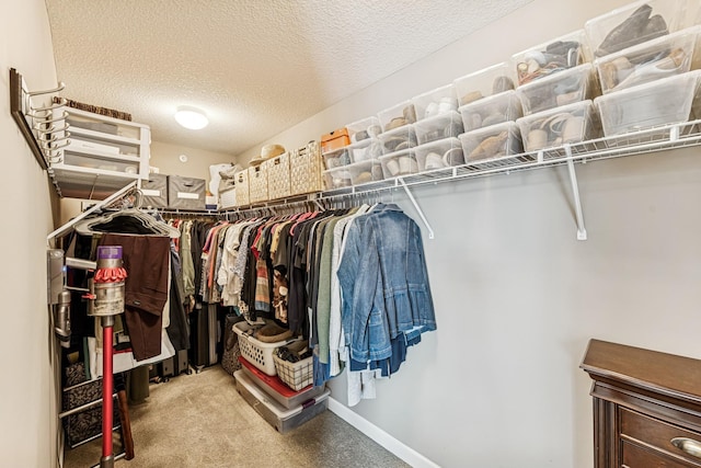 walk in closet with carpet flooring