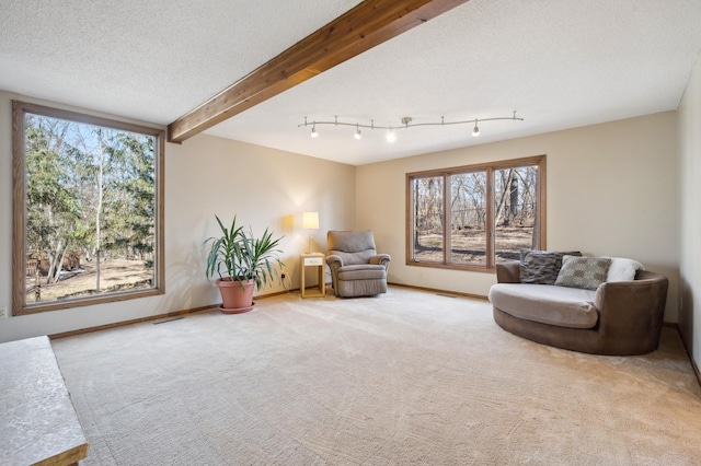 living area with beamed ceiling, carpet flooring, baseboards, and a textured ceiling