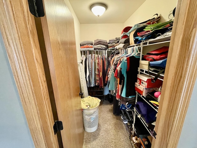 walk in closet with carpet