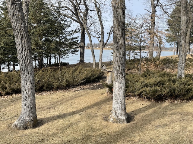 view of yard with a water view