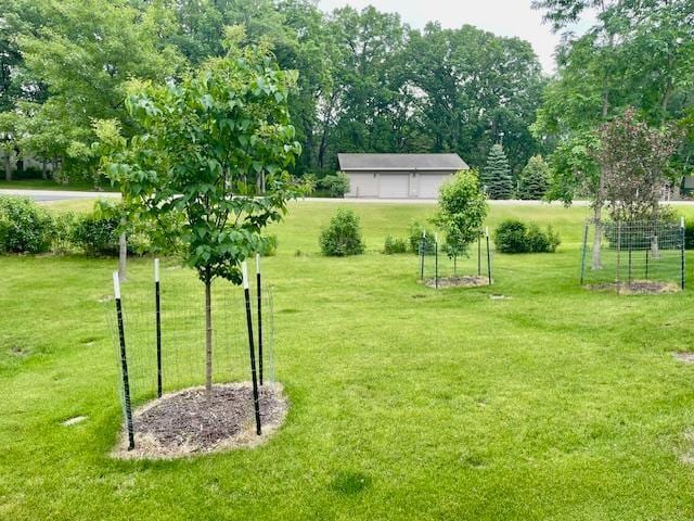 26909 Lake Ethel Rd, Girard Twp, MN 56515 - view of yard
