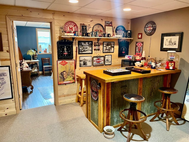 26909 Lake Ethel Rd, Girard Twp, MN 56515 - indoor dry bar featuring wooden walls, carpet flooring, and a paneled ceiling