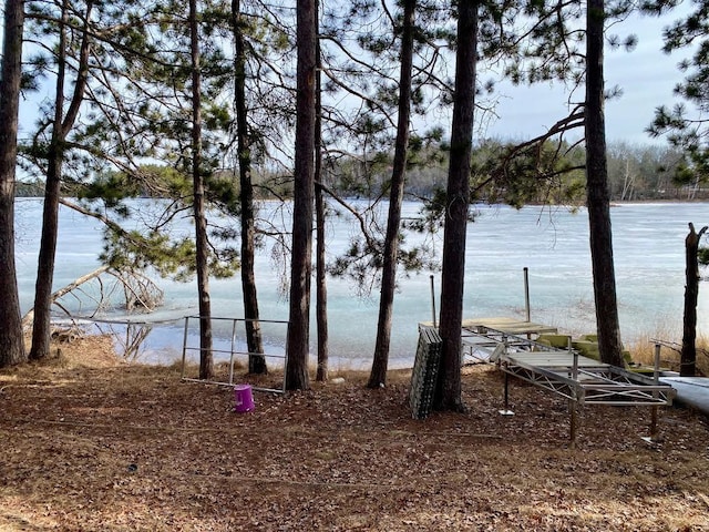 view of water feature