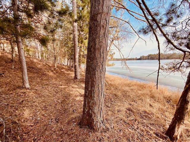 view of water feature