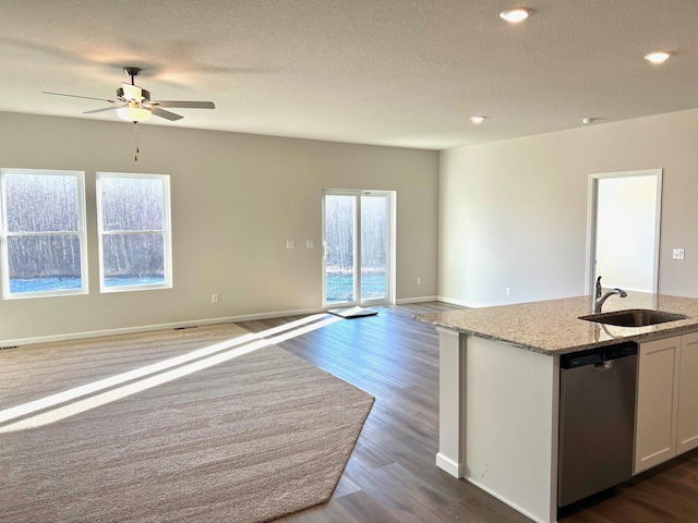 kitchen featuring stainless steel dishwasher, open floor plan, and a sink