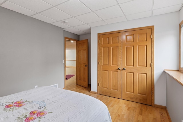 bedroom featuring visible vents, a paneled ceiling, light wood-style floors, and baseboards