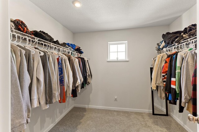 spacious closet featuring carpet floors