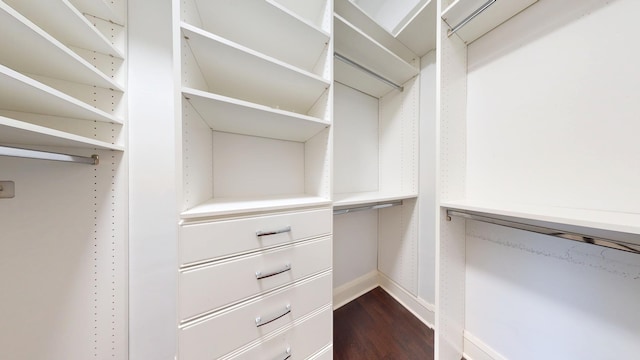 79 Western Ave N Unit 308, Saint Paul, MN 55102 - walk in closet featuring dark wood-style flooring